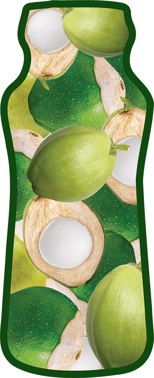 Taste Nirvana - Cocoza Sparking Coconut Water